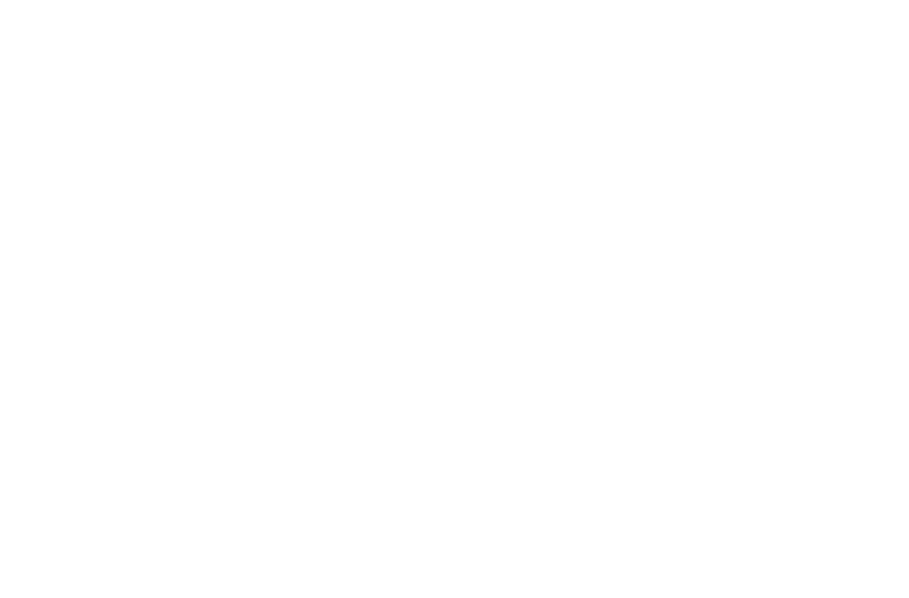 Fritidskortet_Logotyp